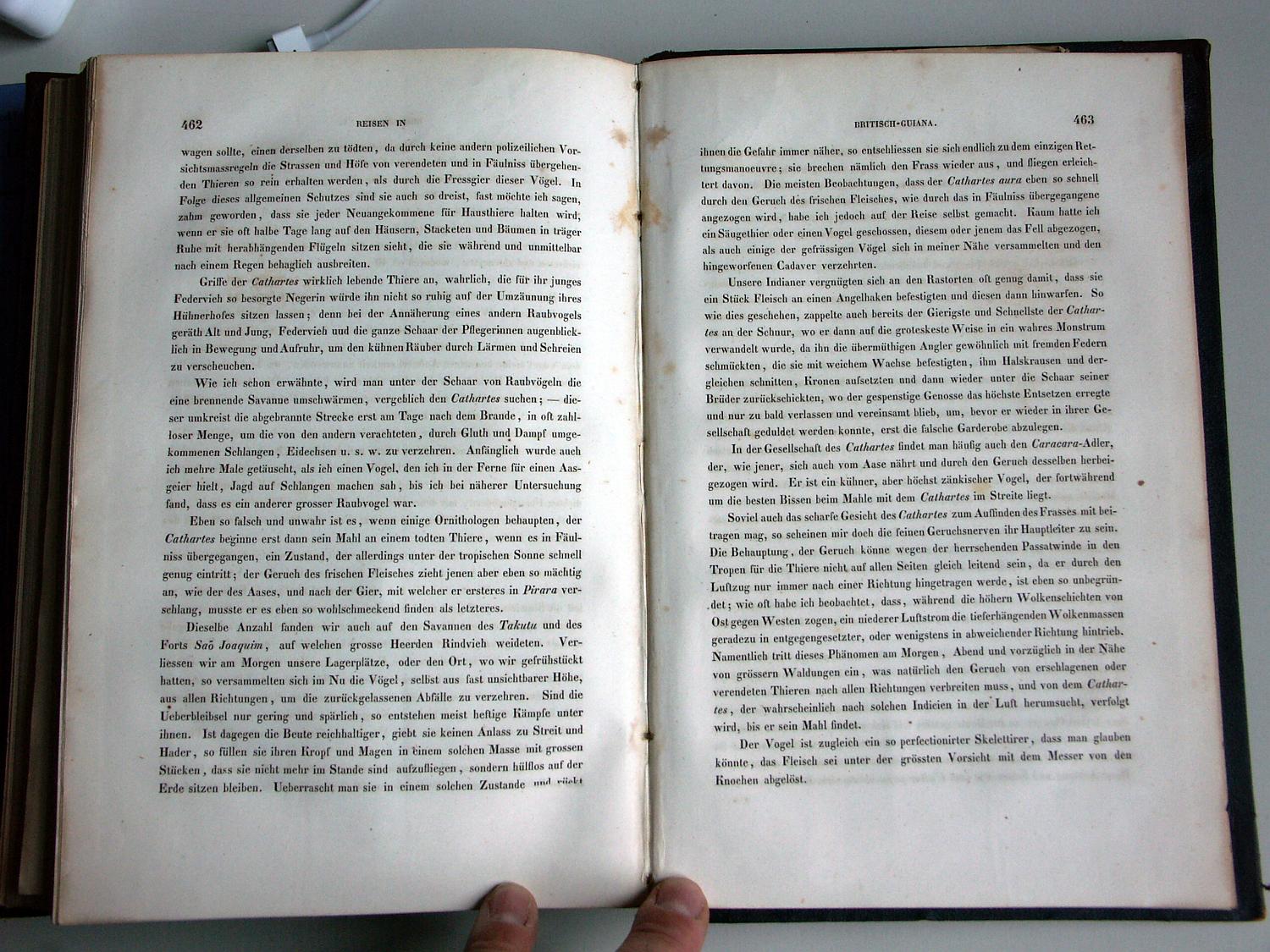 ZZ-RISC47,S.462 Schabernack der Indianer mit Cathartes